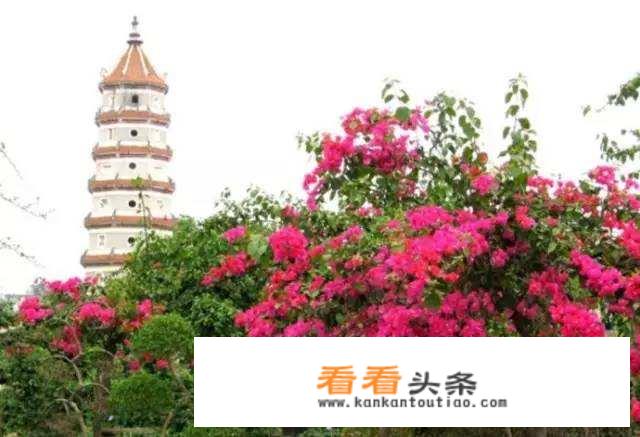 武鸣有什么旅游景点？