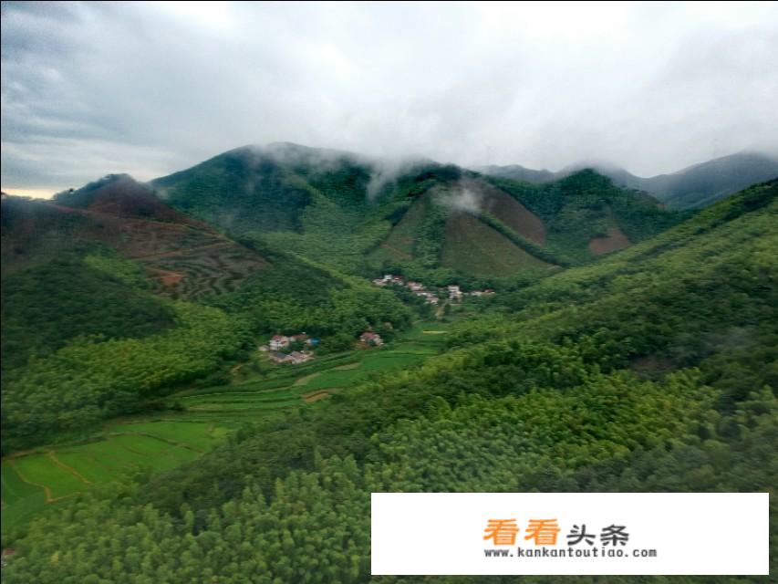 老年旅游团去哪里报名？