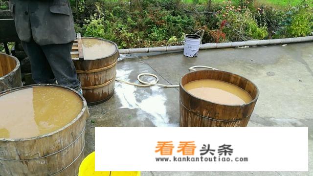 做红薯粉条的配方？