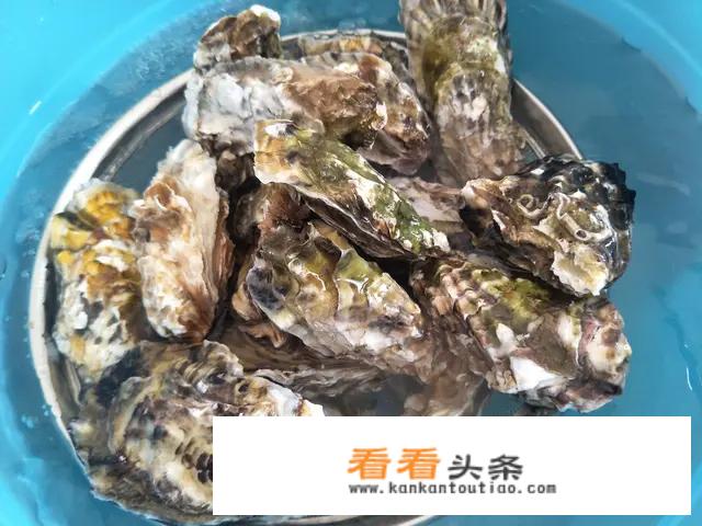 海蛎有几种做法？怎么做好吃？