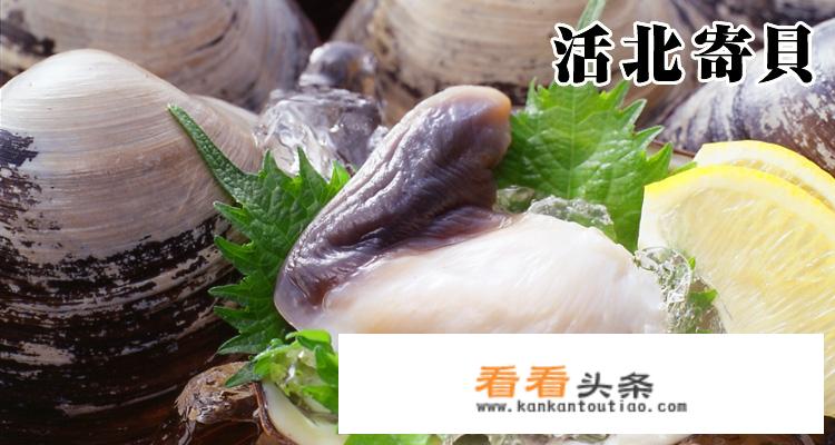 北极贝为什么很贵？