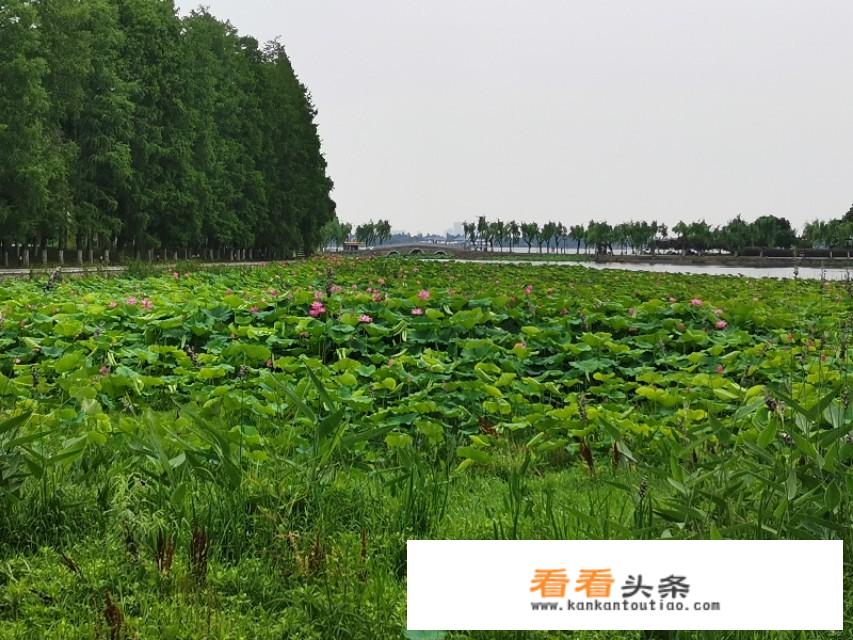 云南到湖北有些什么旅游景点？