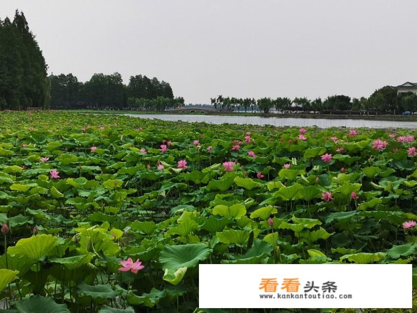 云南到湖北有些什么旅游景点？