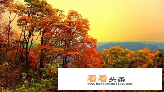 毕棚沟景点游玩顺序？