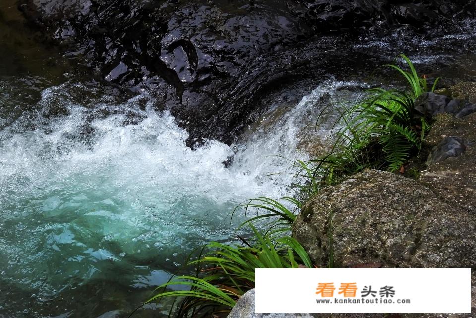 在成都过夏天是什么样的体验？