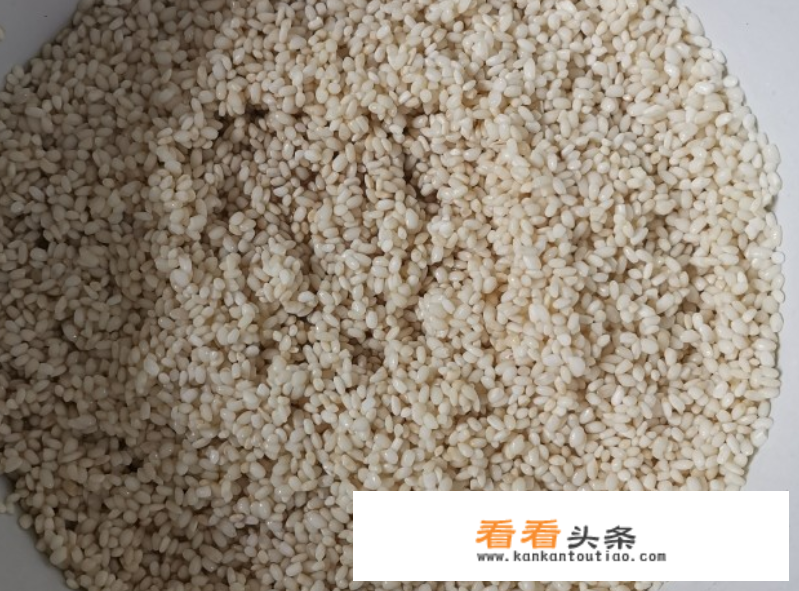 肉粽子糯米怎么调才好吃？