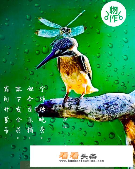 怎么去掉图片的公章？