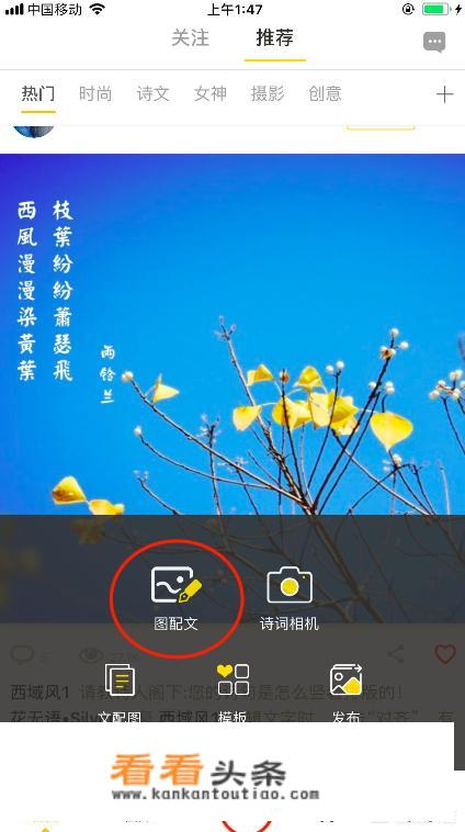 怎么去掉图片的公章？