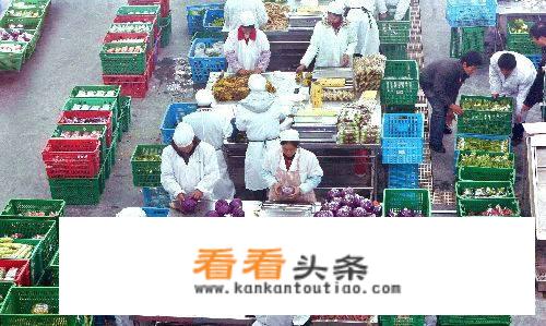 中国哪个水果批发市场最大？