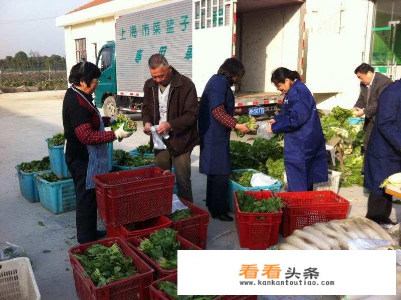 中国哪个水果批发市场最大？