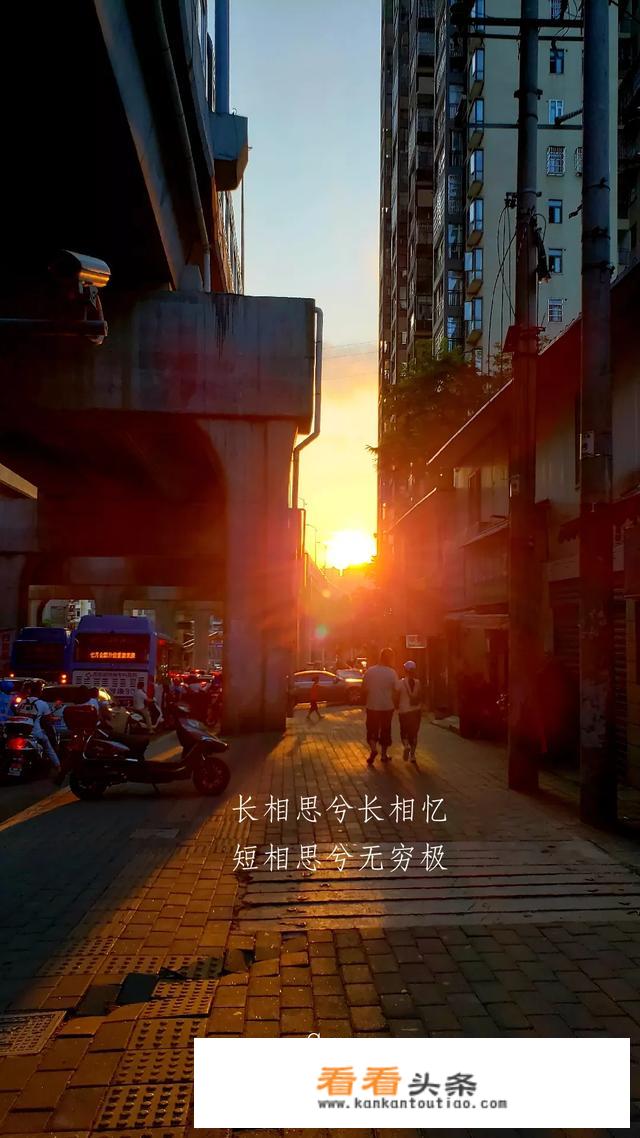 旅行中需要注意哪些事项？