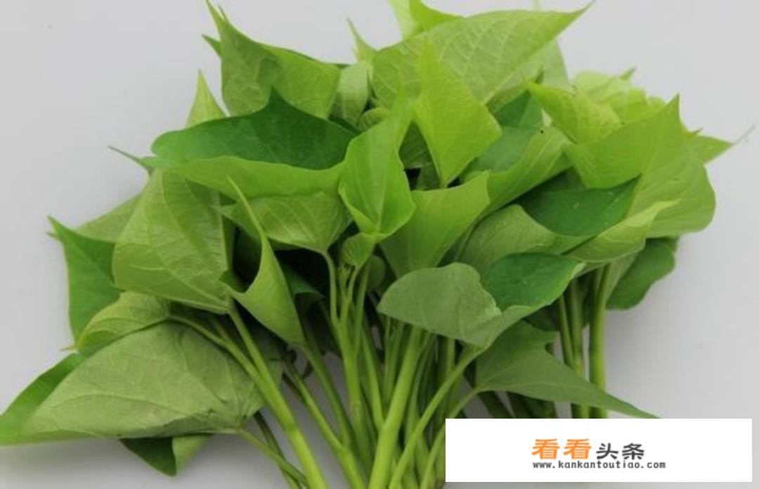 番薯叶怎么摘洗？