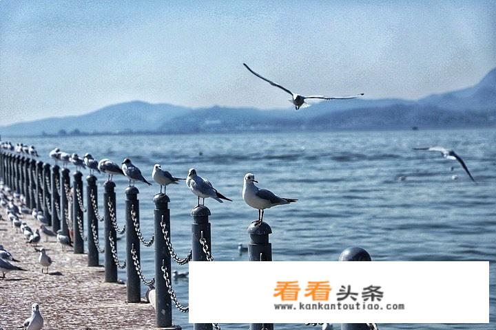 云南旅游穿衣？