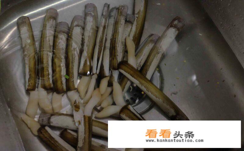 蛏子怎么洗干净和除内脏？
