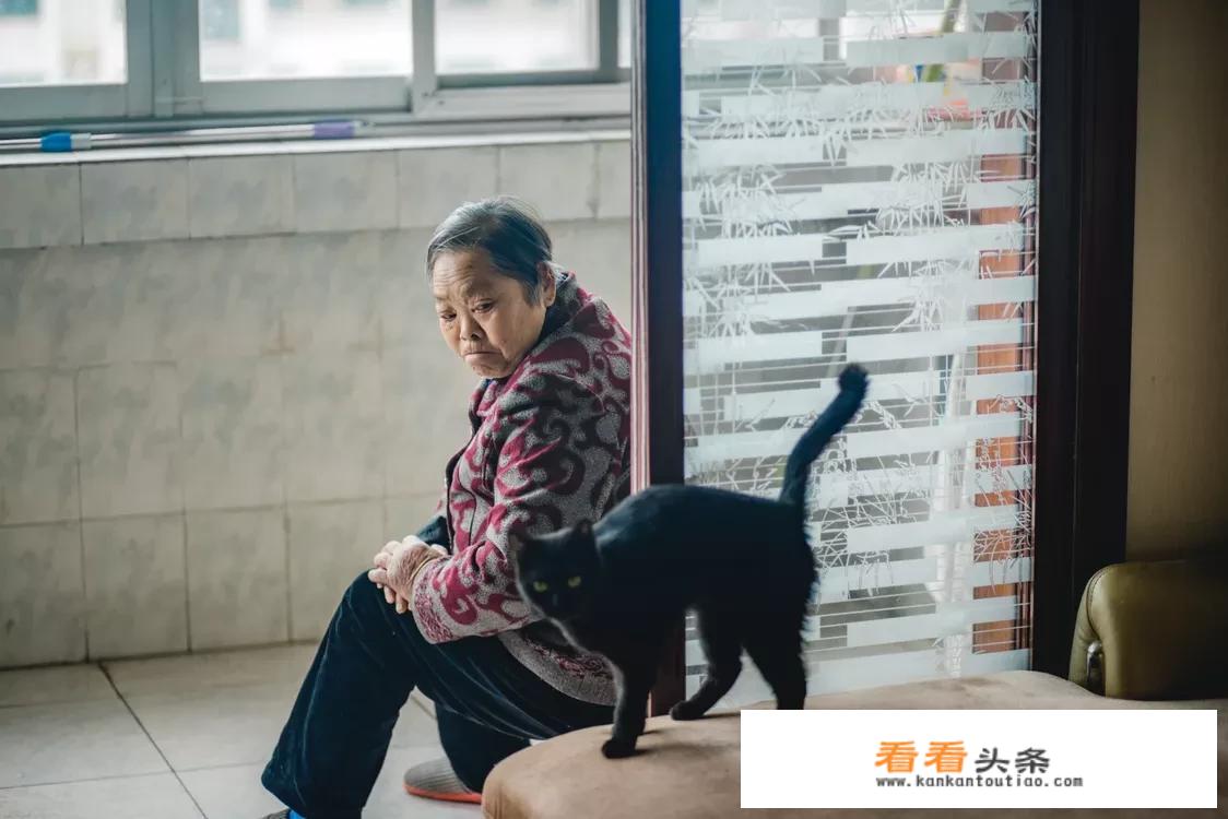 什么三脚架好用又稳定？