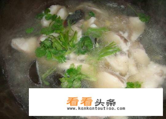 鱼片汤的家常做法？