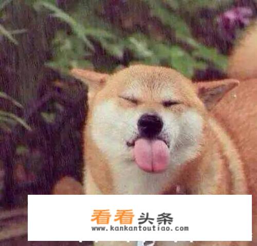 情人节收到最奇葩的礼物是什么？