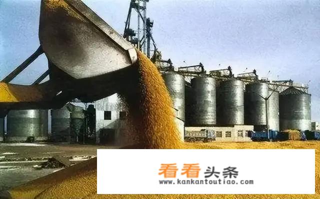 赫尔松申请入俄后，乌总统把储备粮紧急运往波兰？是想跑路吗？