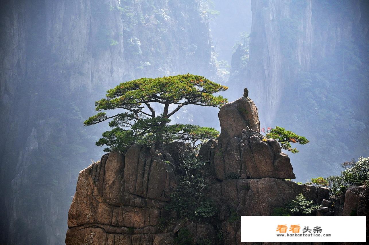 上海到黄山自驾游都路过哪些景区？