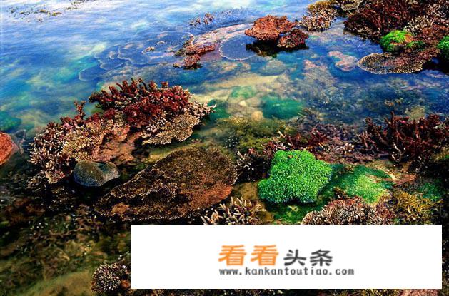 北海春节期间旅游攻略？