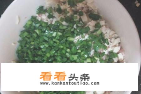 韭菜豆腐饺子馅怎么做？