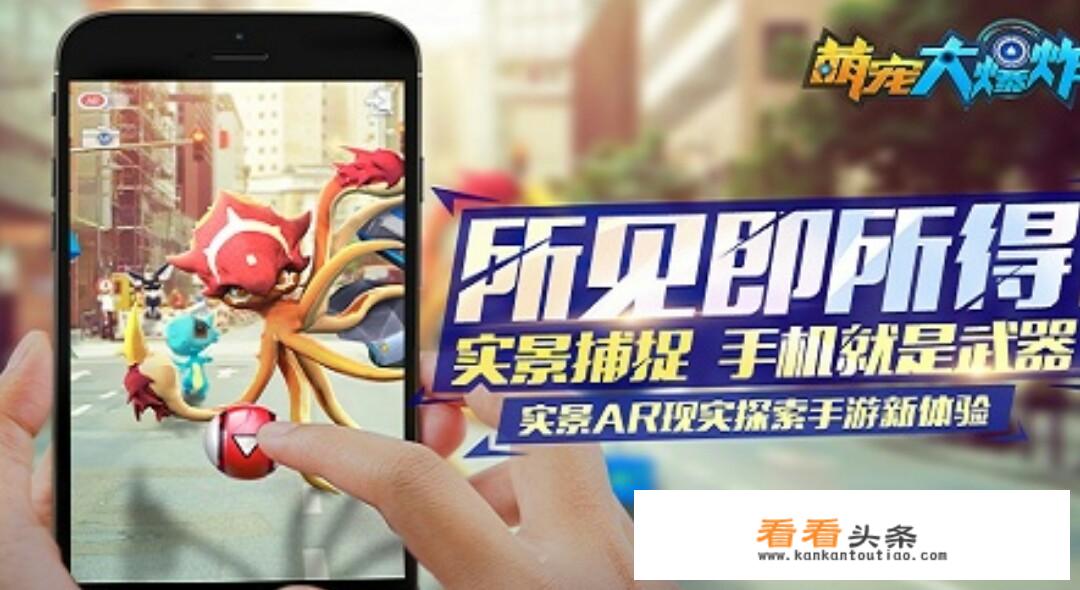 抓宠物的游戏？