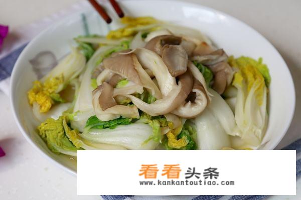 凤尾菇的做法？