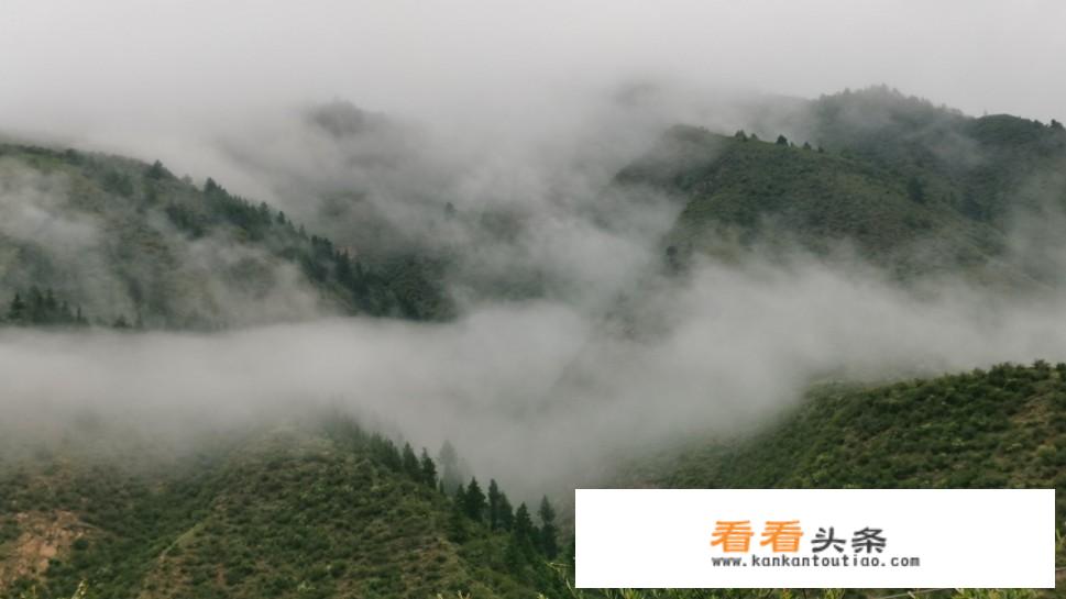 7-8月份浙江自驾最佳地方？