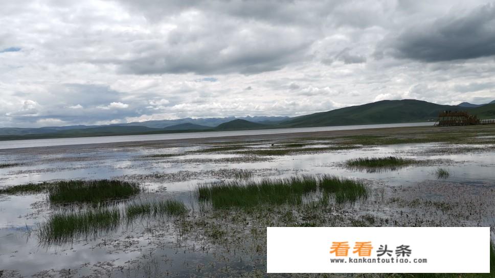 7-8月份浙江自驾最佳地方？