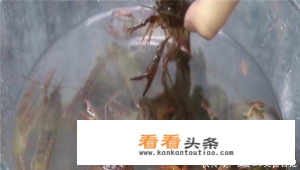 小龙虾的做法？