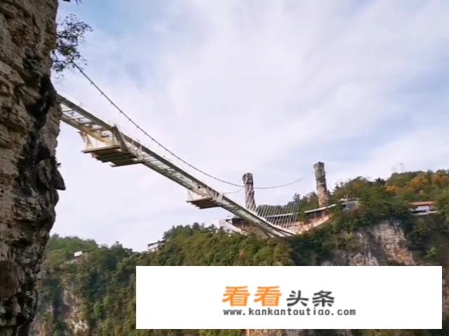 武汉到张家界报团旅游费用？