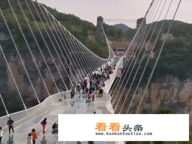 武汉到张家界报团旅游费用？
