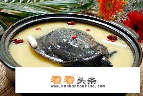 甲鱼煲汤的做法？