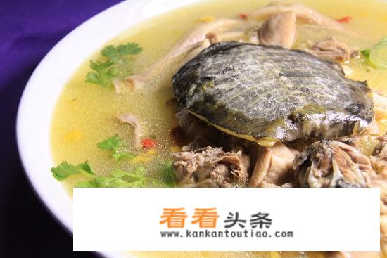 甲鱼煲汤的做法？