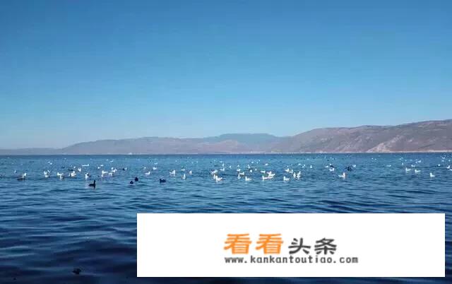 胡歌娜扎李健等明星都爱的大理，为何是中国top10网红旅游城市？