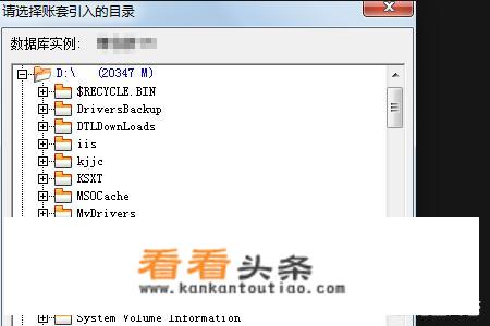 怎么引入账套？