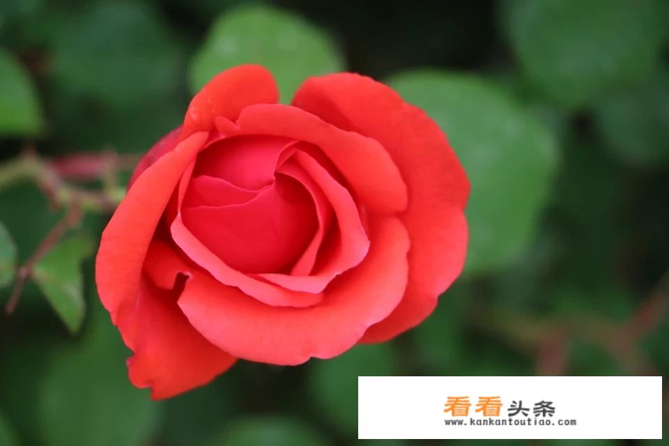 2021年暑假可以去北京旅游吗？