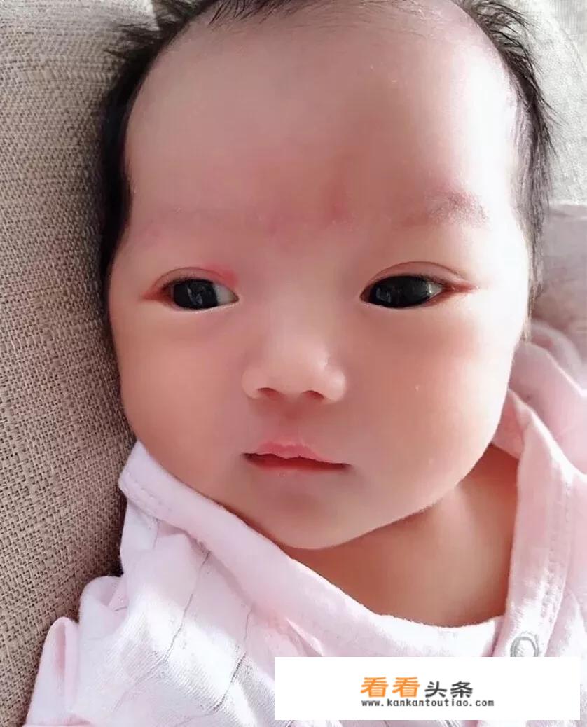 吃什么菜能下奶？