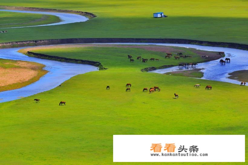十一带娃旅游最佳去处2021？