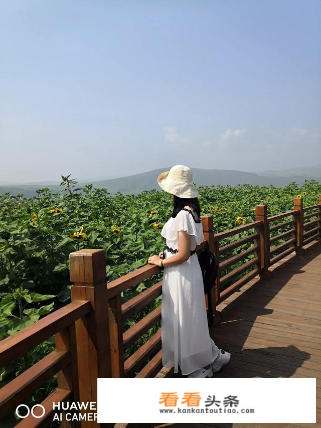 现在天气炎热，最适合到什么地方旅游？