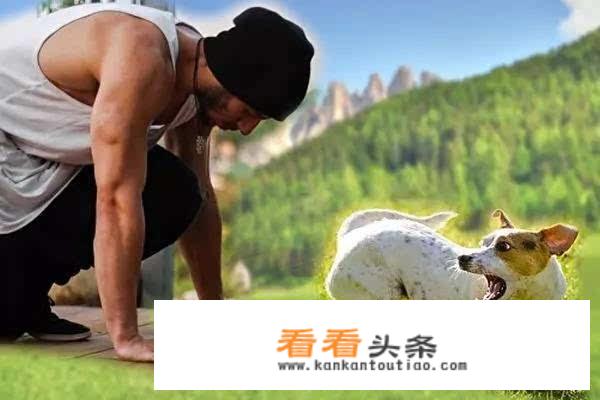 有两条大狼狗狂奔而来，女人如何百分之百保命和安全？