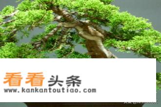 小苏打有哪些“神奇”用途？
