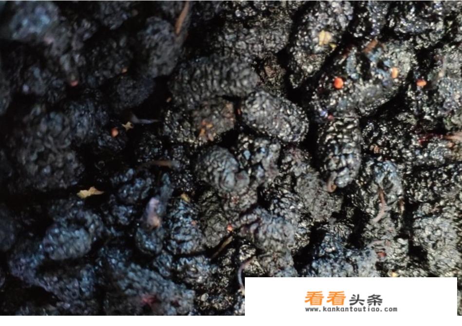 干桑葚泡酒最佳配方？