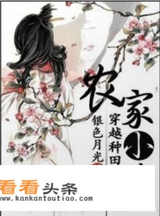 穿越农家妇的小说有哪些？