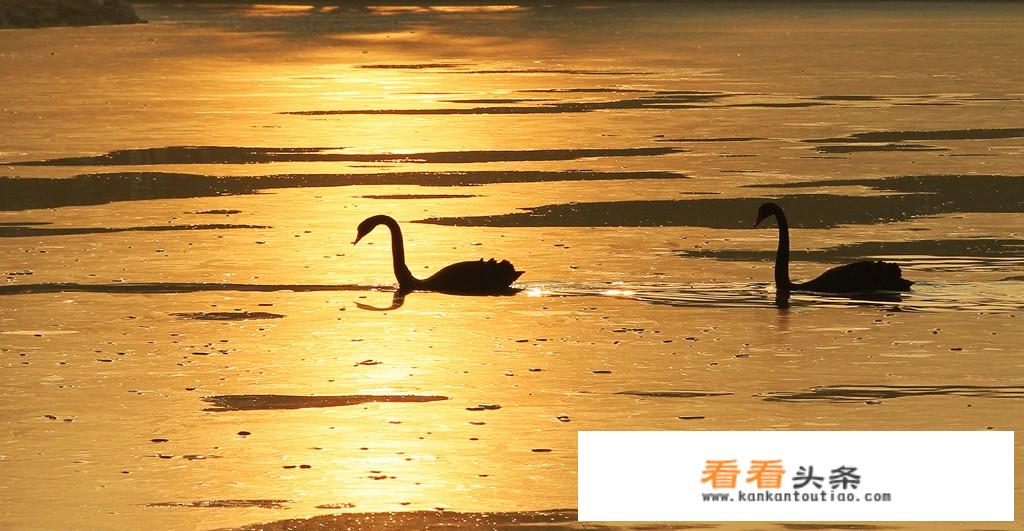 用佳能5D Mark III摄影的主要人群是哪些？他们都拍些什么？