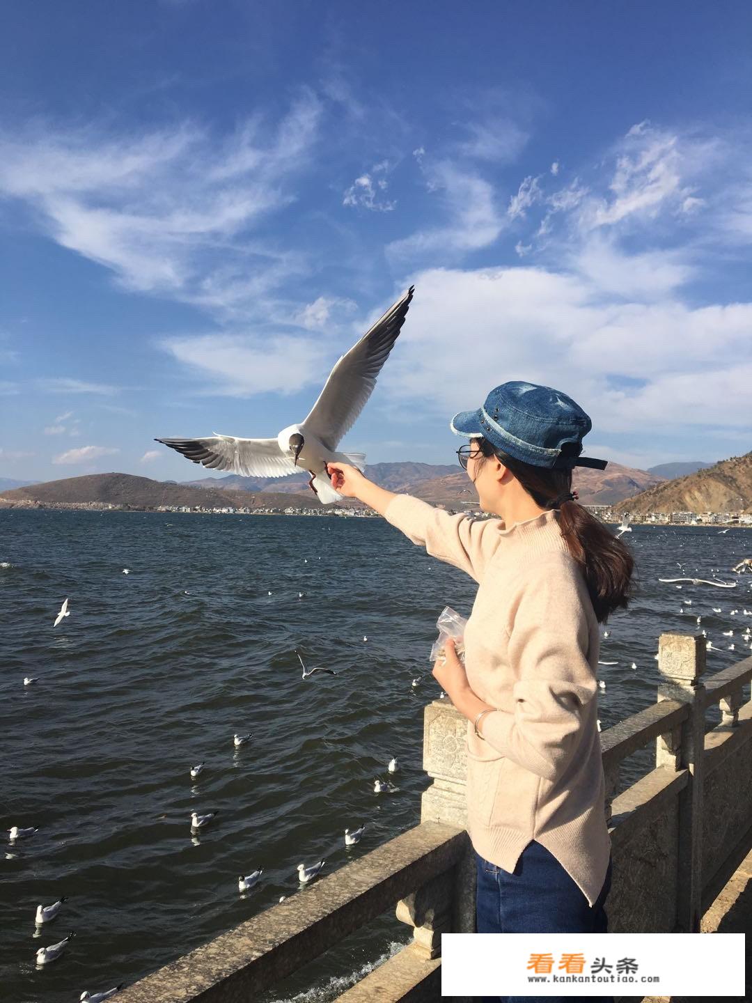 香格里拉旅游危险吗？