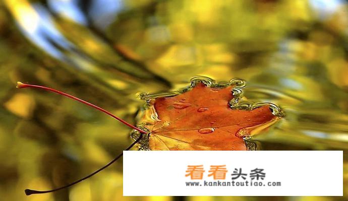 东北立秋穿啥衣服？