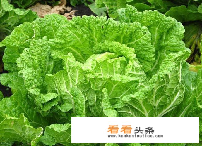东北立秋穿啥衣服？