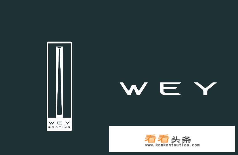 国产车哪家车标最好？