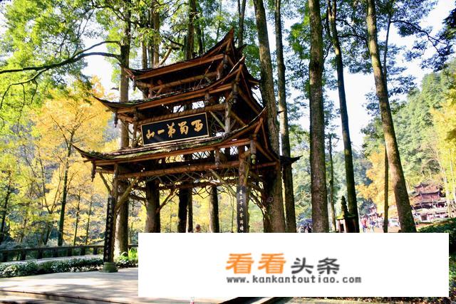 青城山旅游特别注意事项？